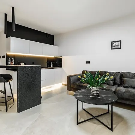 Platinium House & Basen-sauna Centrum